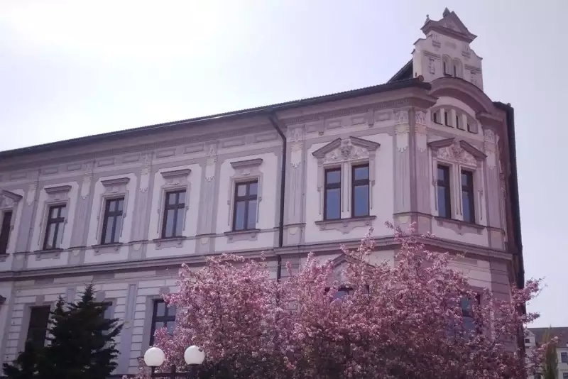 <span>Knihovna</span>